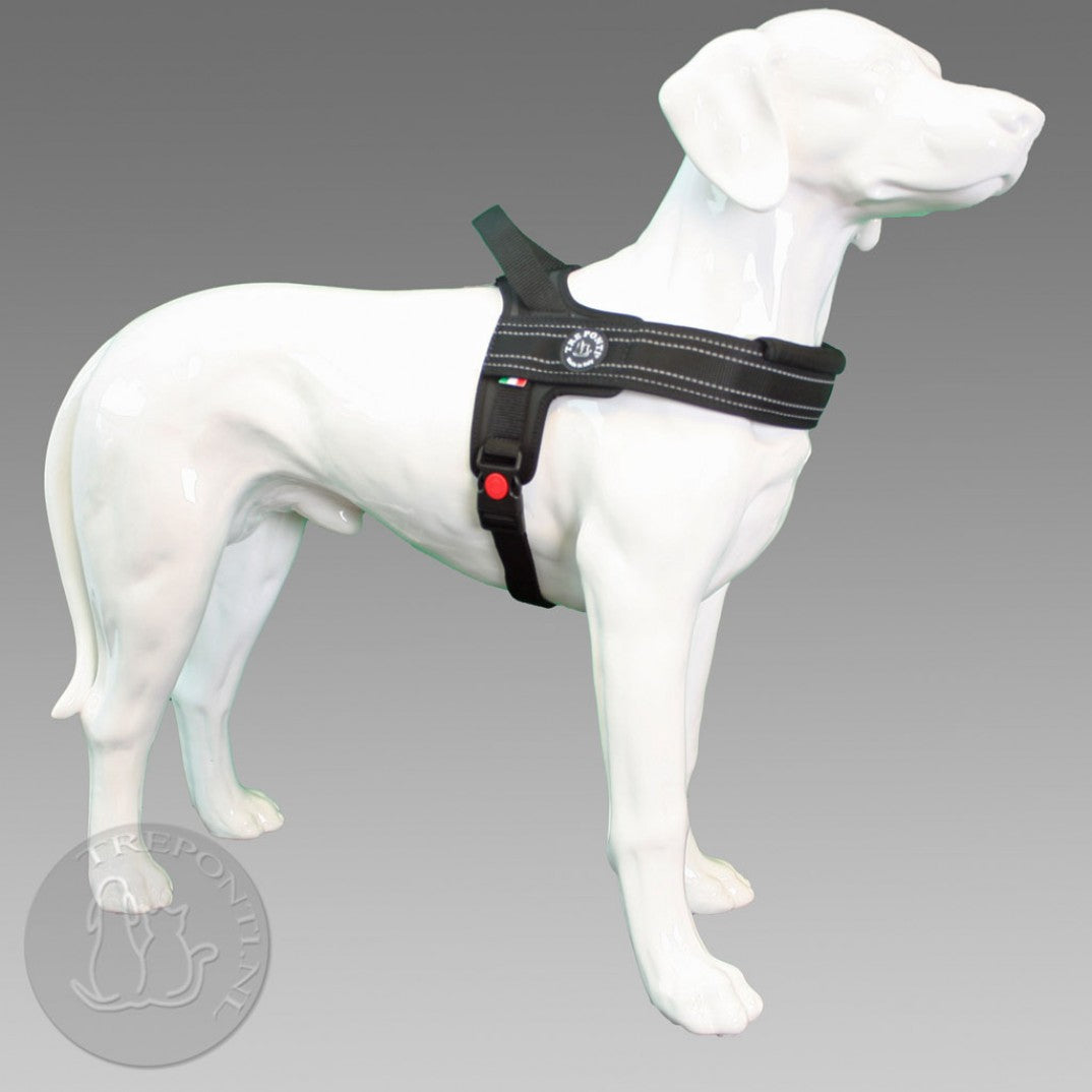 Tre ponti outlet harness