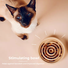 Load image into Gallery viewer, PINO - SLOW FEEDER &amp; INTERACTIVE BOWL - FOXY TERRA - SOLID
