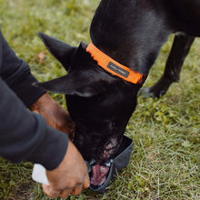 Load image into Gallery viewer, CANADA POOCH - HANDSFREE TREAT POUCH
