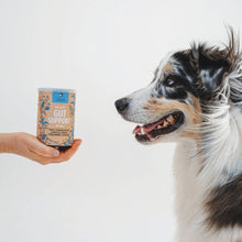 Load image into Gallery viewer, GIZZLS - 100% NATURAL GUT SUPPORT DOG TREATS
