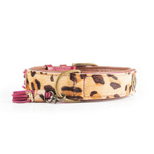 Load image into Gallery viewer, DOG WITH A MISSION - CHIQUE BOUTIQUE LOU LOU COLLAR
