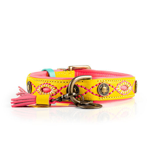 DOG WITH A MISSION - URBAN JESSY COLLAR