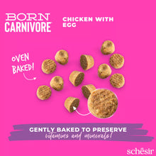 Load image into Gallery viewer, SCHESIR BORN CARNIVORE BABY - KITTEN - CHICKEN WITH EGG
