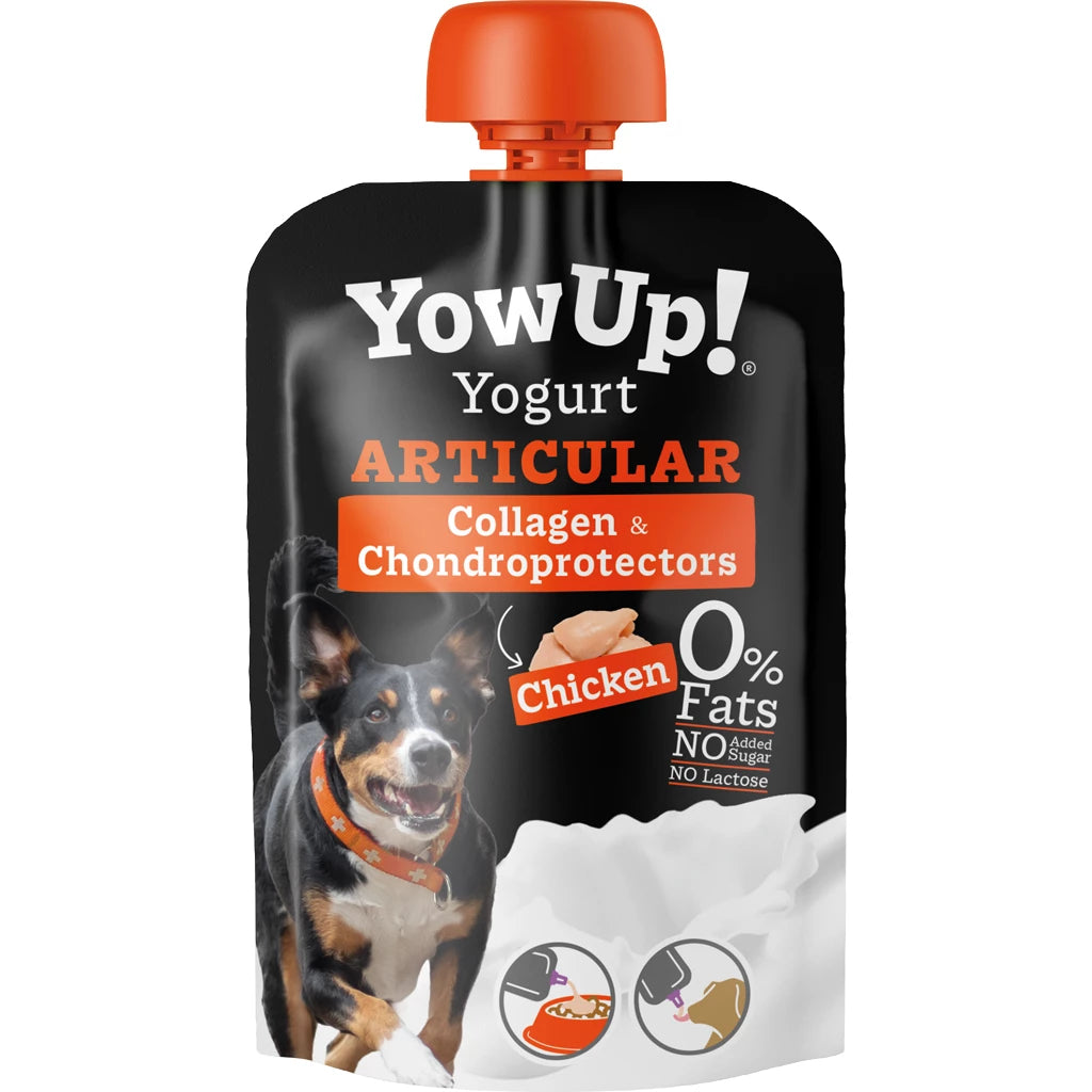 YOWUP! ARTICULAR YOGURT