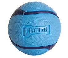 Load image into Gallery viewer, CHUCKIT SNIFF FETCH BALL - DIFFERENT SCENTS
