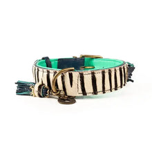 Load image into Gallery viewer, DOG WITH A MISSION - CHIQUE BOUTIQUE ZARA COLLAR
