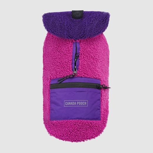 CANADA POOCH - COOL FACTOR HOODIE - PINK/PURPLE