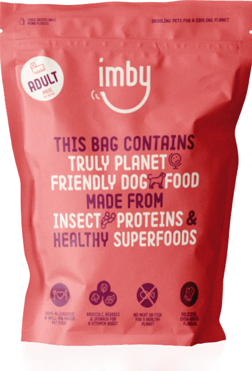 IMBY - INSECT BASED - MEDIUM