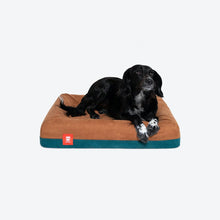 Load image into Gallery viewer, ZEE.DOG - DUSK BED COVER
